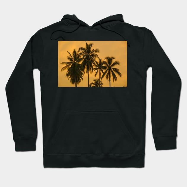 Palms Against an Evening Sky Hoodie by fotoWerner